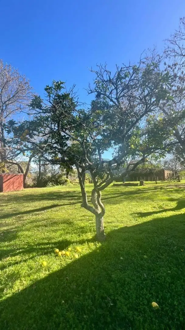 Campo en venta con Estancia, La Plata 2