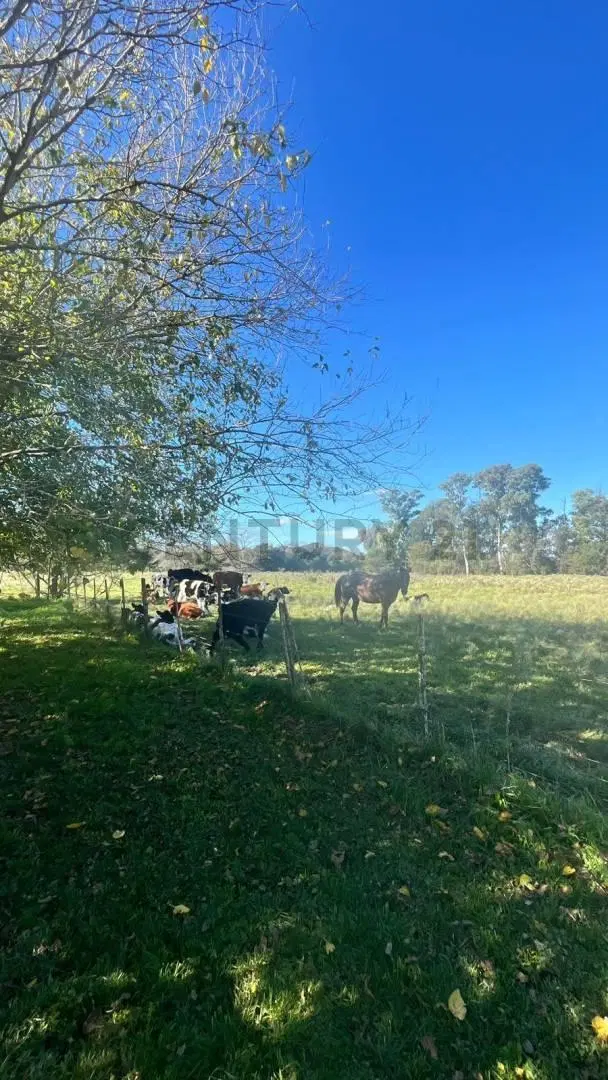 Campo en venta con Estancia, La Plata 4
