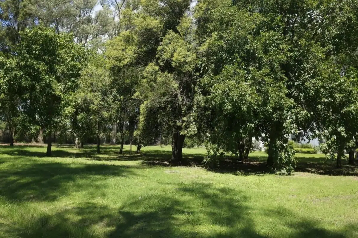Terreno en venta, Grand Bell2 5