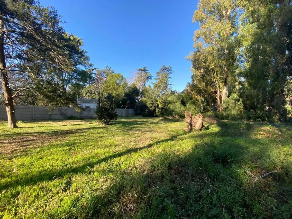 Terreno en venta Villa Elisa sobre Av. Arana 5