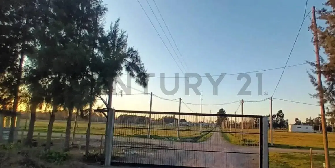 Lote en venta en barrio cerrado La Aldea del Bosque 2 LISANDRO OLMOS 4