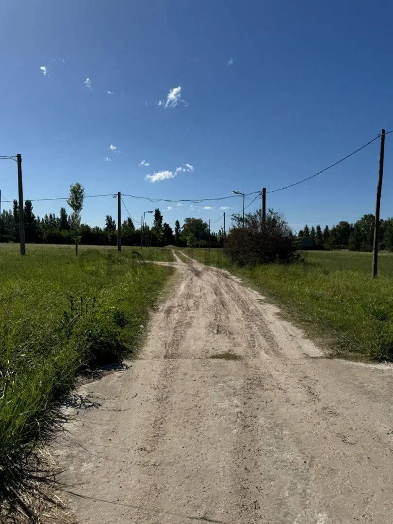 Lote en venta en Arturo Segui 5