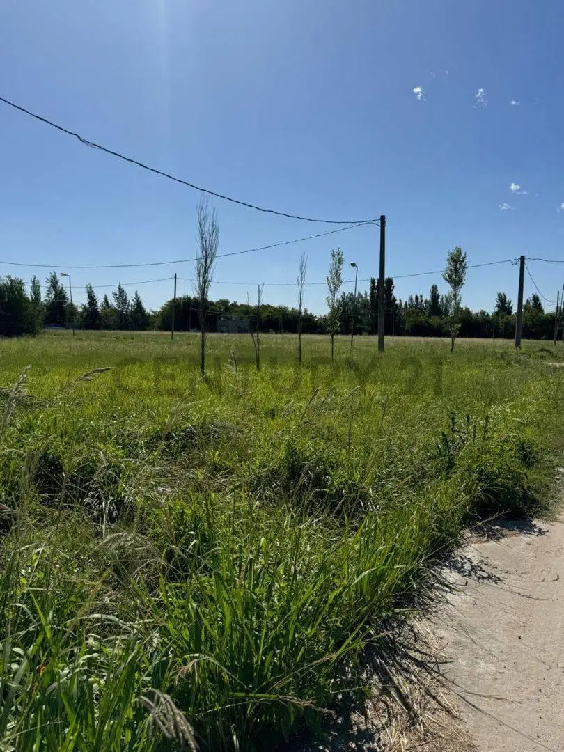 Lote en venta en Arturo Segui 8