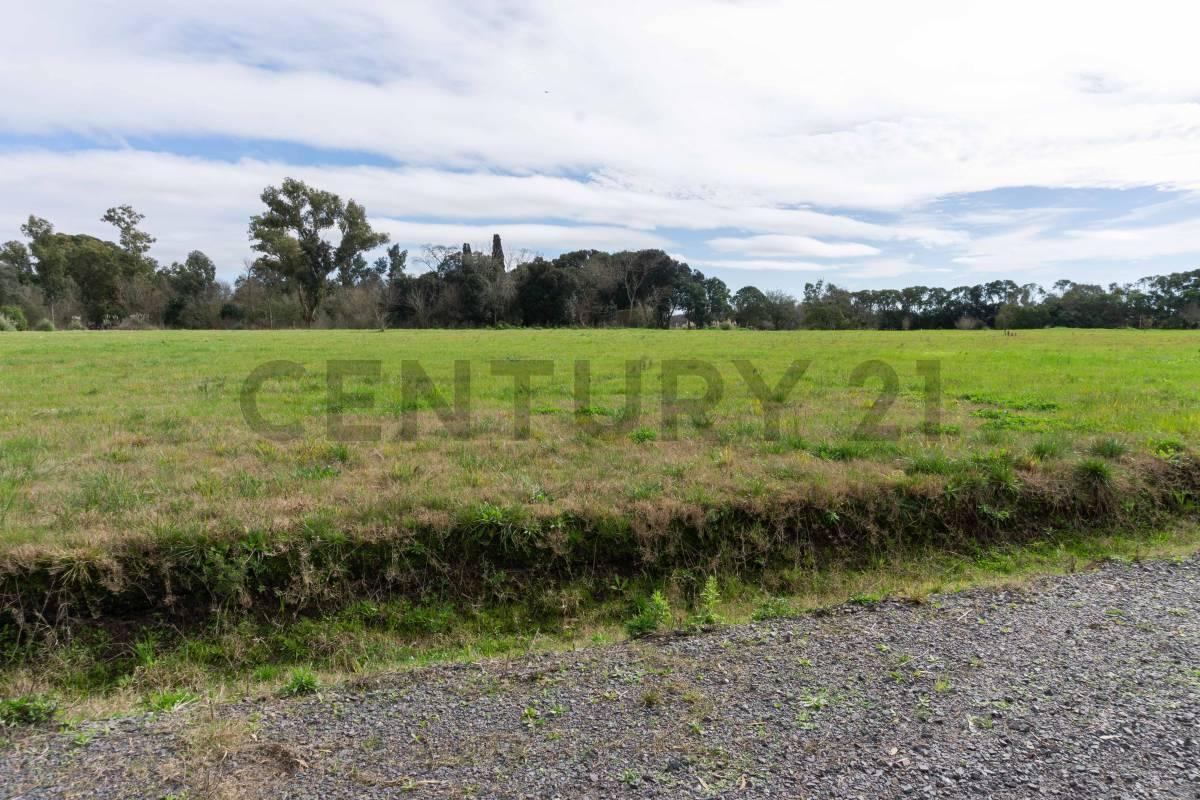 Foto de Lote en venta Fincas de Arana en 96 y 159, imagen 2