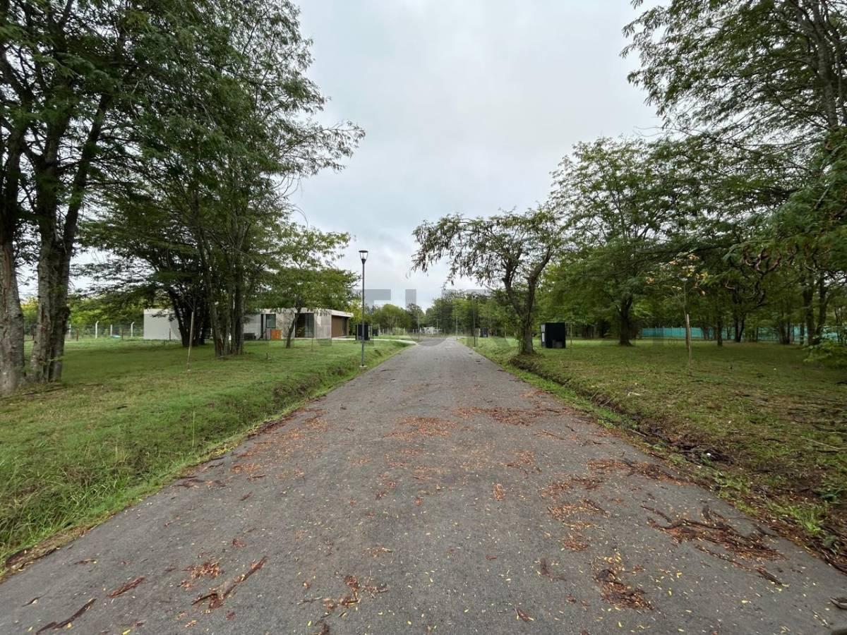 Foto de LOTE EN BARRIO NORTHBELL, imagen 2