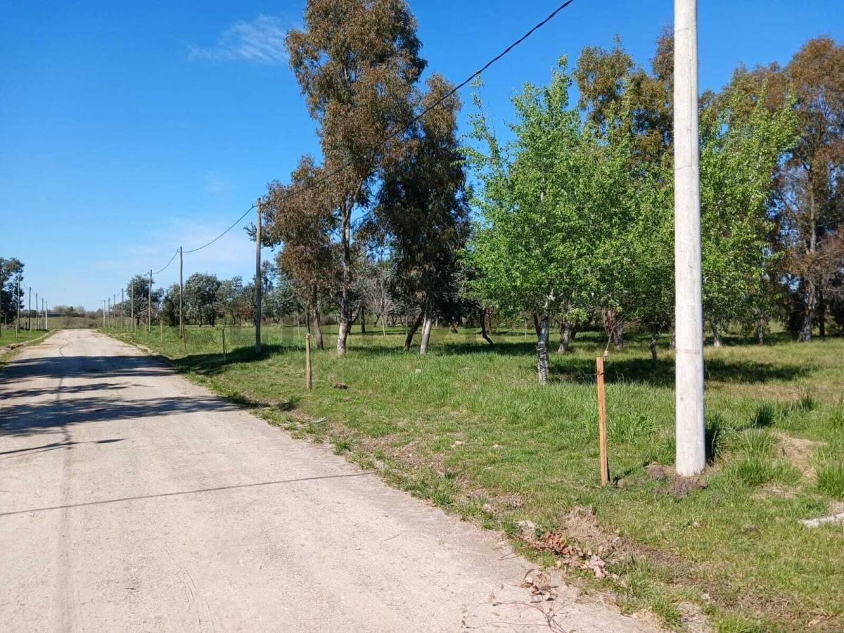 Foto de Lote en venta en barrio cerrado La Aldea del Bosque 2 LISANDRO OLMOS, imagen 2
