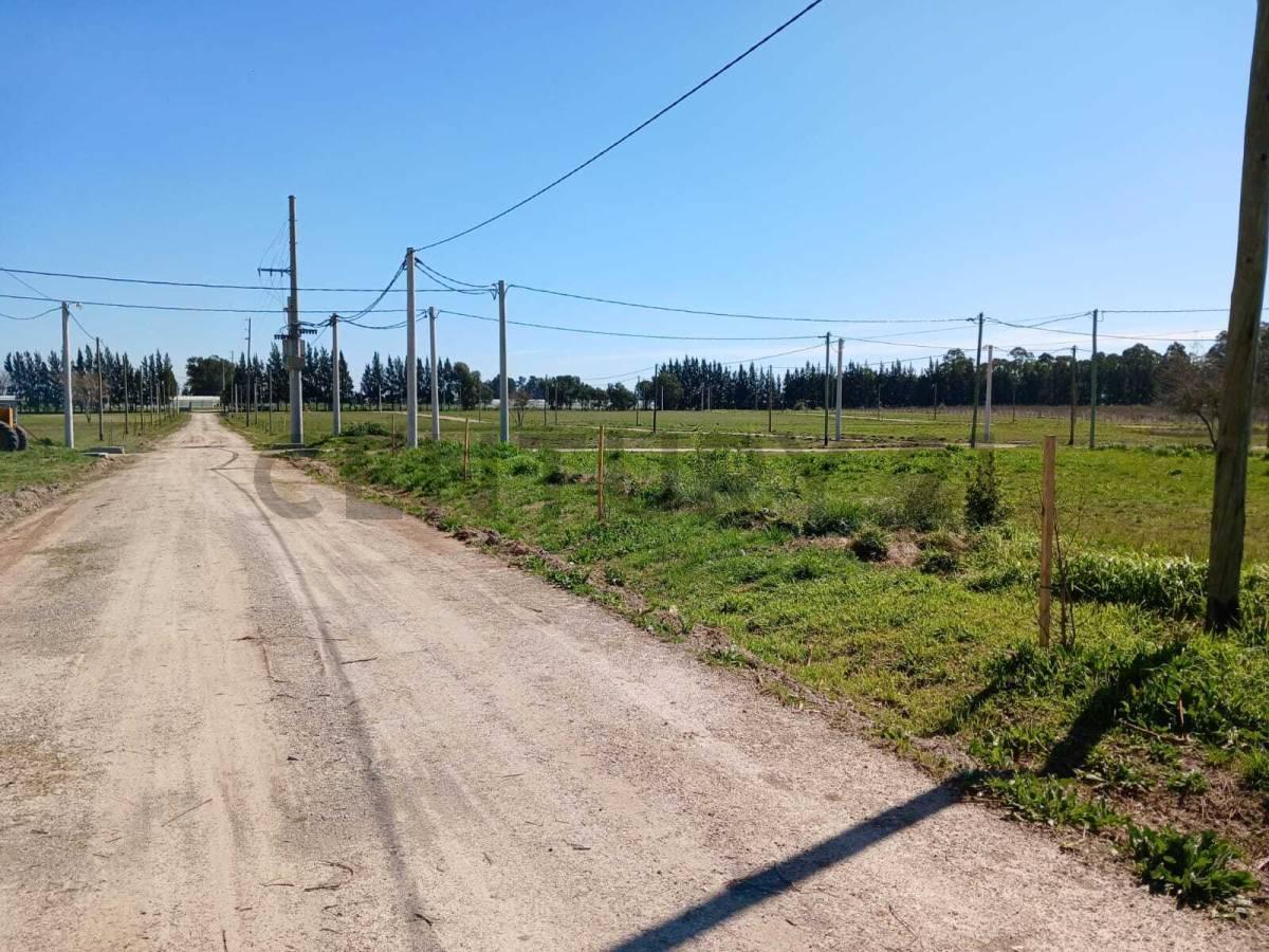 Foto de Lote en venta en barrio cerrado La Aldea del Bosque 2 LISANDRO OLMOS, imagen 1