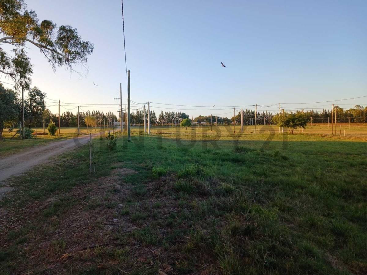 Foto de Lote en venta en barrio cerrado La Aldea del Bosque 2 LISANDRO OLMOS, imagen 4