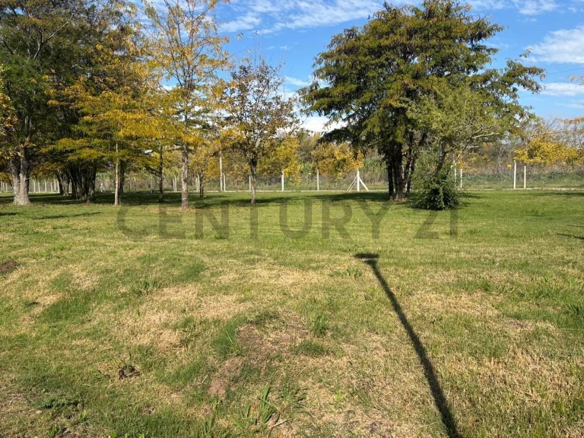 Foto de Lote en Barrio Cerrado de City Bell, imagen 4