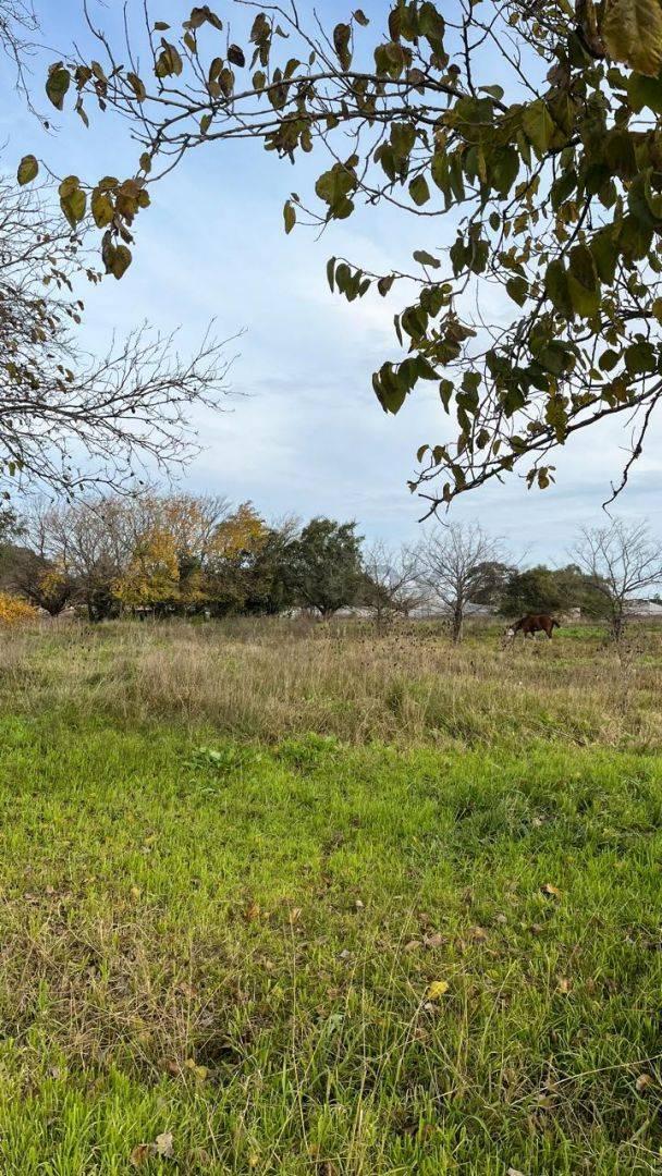 Foto de LOTE EN VENTA City Bell 454 y 148, imagen 1