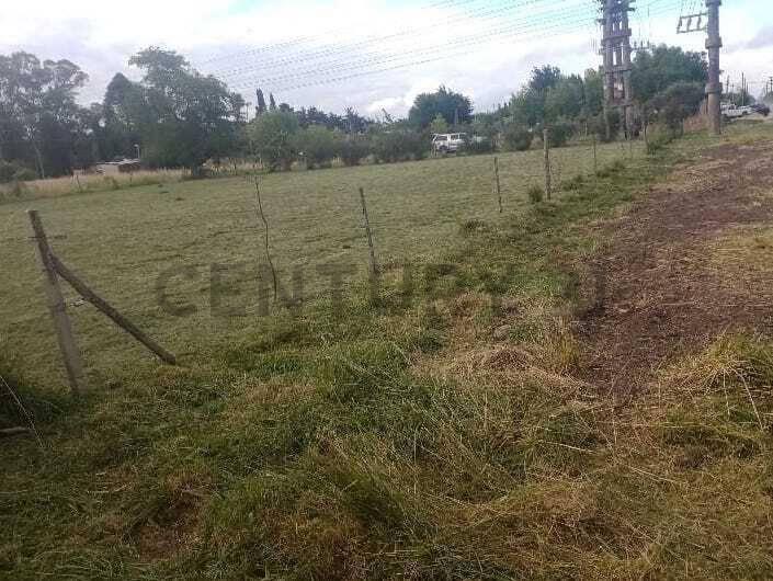 Foto de Lote en Magdalena, imagen 5