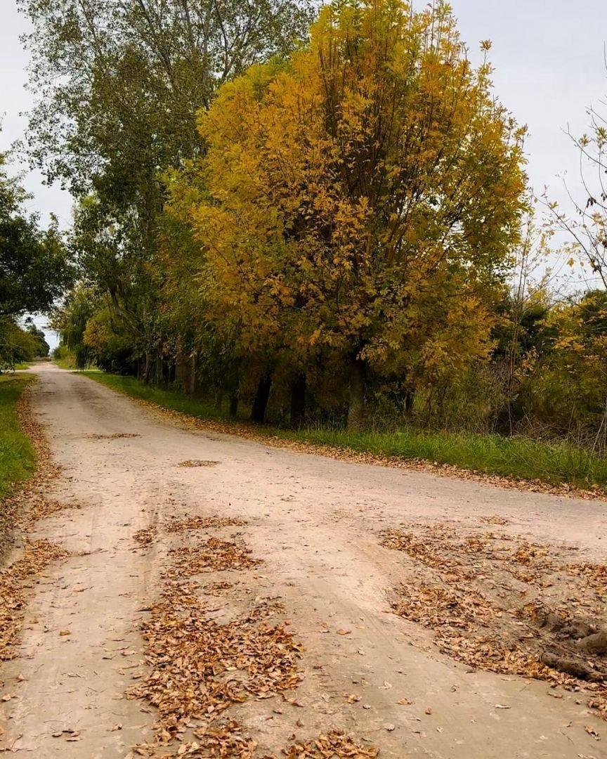 Foto de Lote en Venta con Escritura en Nacho Correas, imagen 2