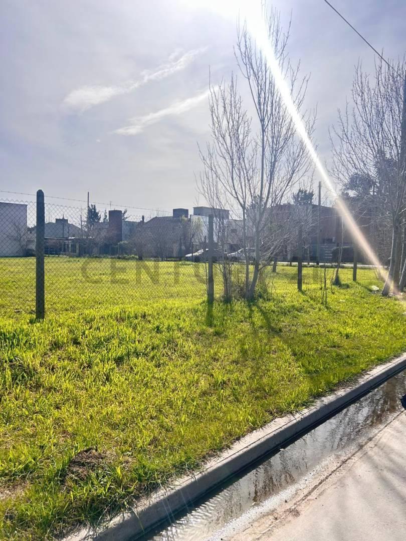 Foto de TERRENO EN VENTA . VILLA CASTELLS - ACEPTA PERMUTAS Y VEHICULOS EN, imagen 5
