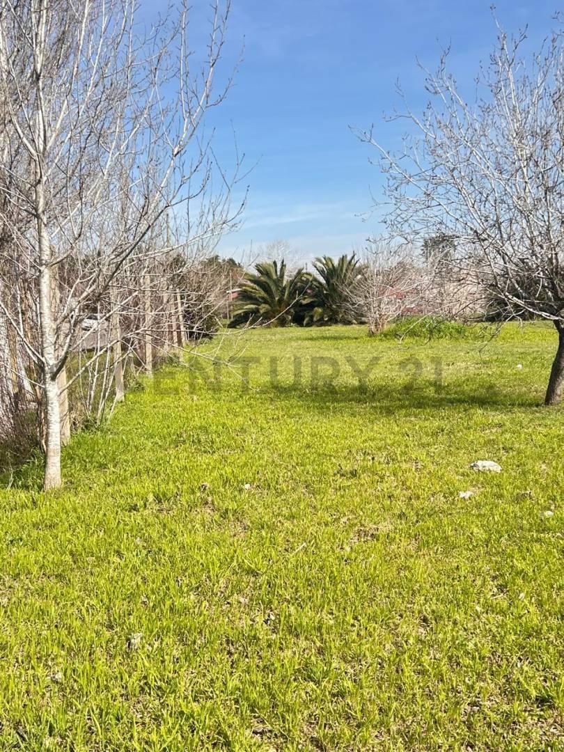 Foto de TERRENO EN VENTA . VILLA CASTELLS - ACEPTA PERMUTAS Y VEHICULOS EN, imagen 2
