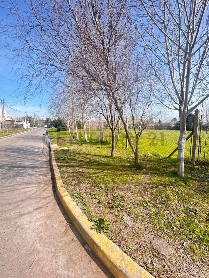 Foto de TERRENO EN VENTA . VILLA CASTELLS - ACEPTA PERMUTAS Y VEHICULOS EN, imagen 4