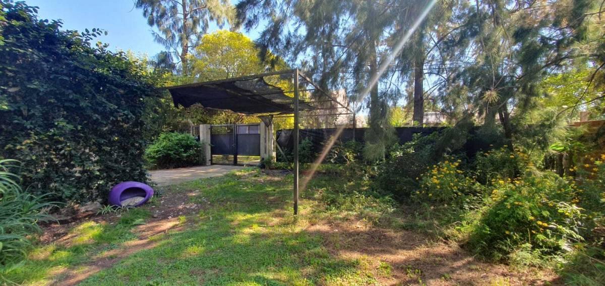 Foto de VENTA DE LOTE IDEAL PARA DESARROLLO – CITY BELL ENTRE CAMINOS, imagen 1