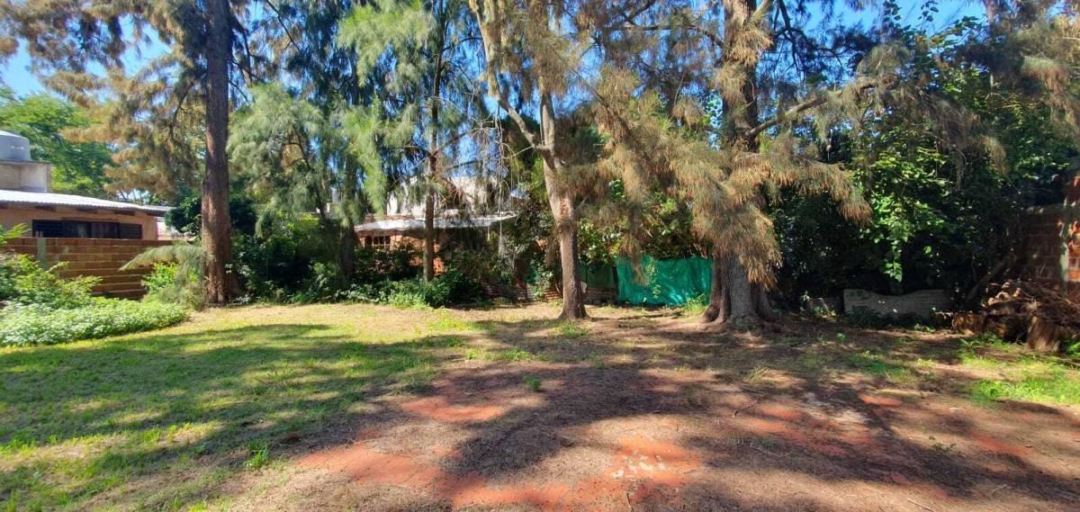 Foto de VENTA DE LOTE IDEAL PARA DESARROLLO – CITY BELL ENTRE CAMINOS, imagen 4