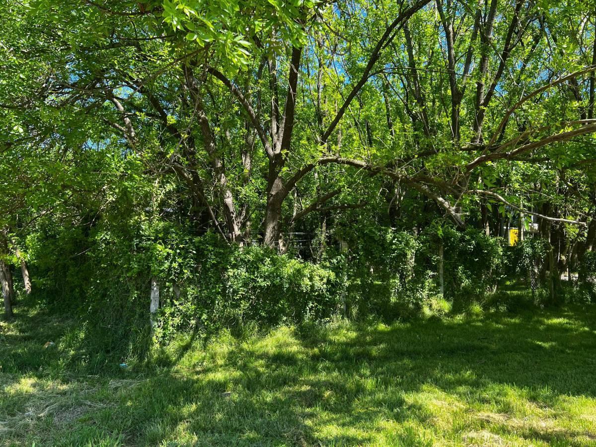 Foto de Lote en venta en El Rincon Villa Elisa, imagen 3