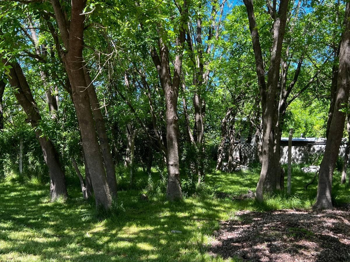 Foto de Lote en venta en El Rincon Villa Elisa, imagen 1