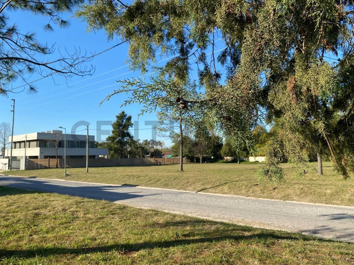 Foto de Terreno en venta Joaquin Gorina - Barrio Los Enriques, imagen 3