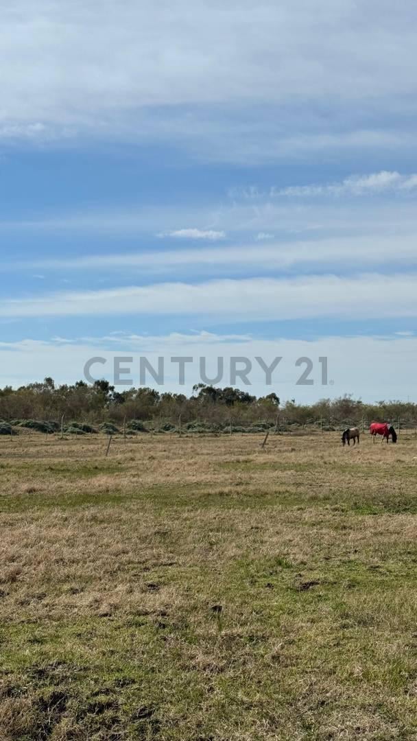 Foto de Lote en venta en Barrio Savoia, imagen 4