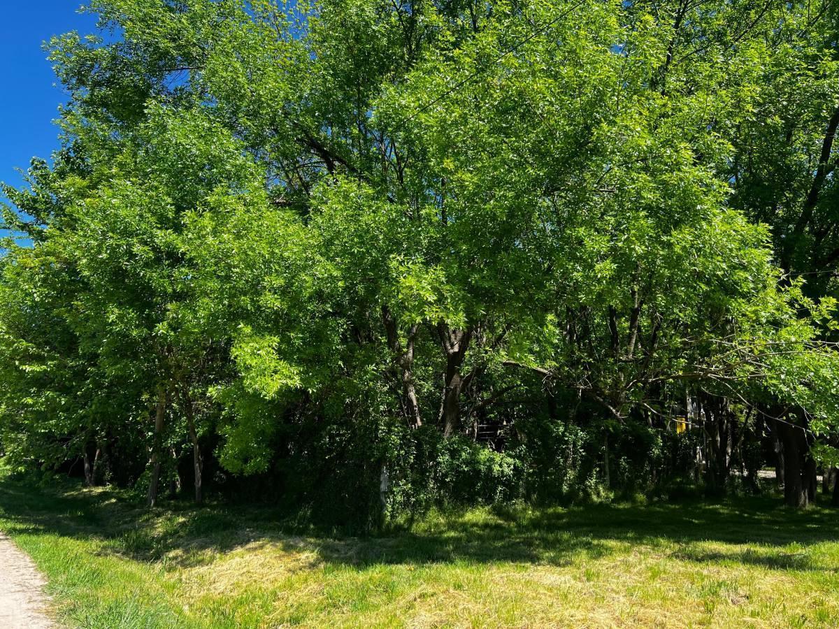 Foto de Lote en venta en El Rincon Villa Elisa, imagen 2