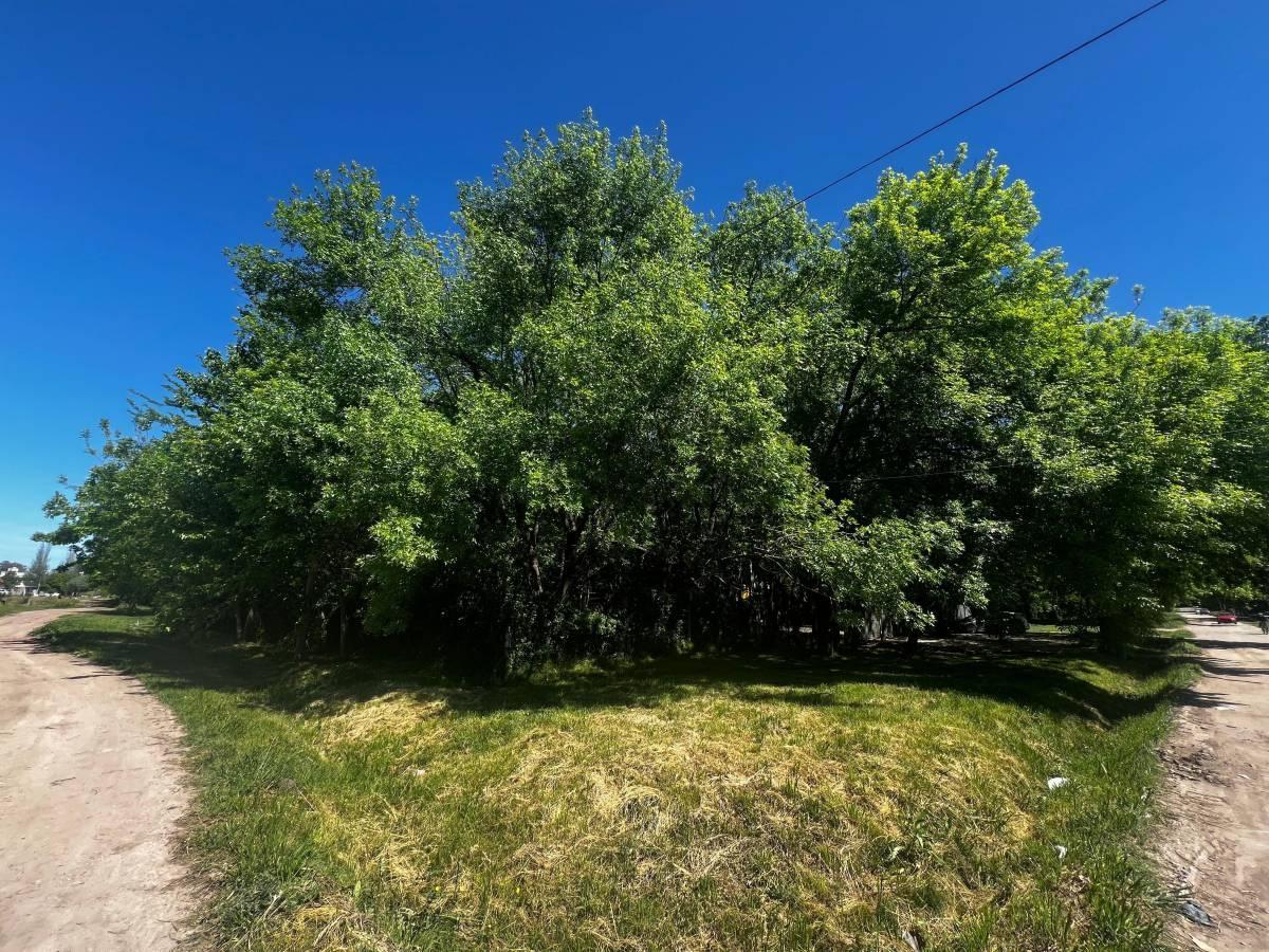 Foto de Lote en venta en El Rincon Villa Elisa, imagen 4