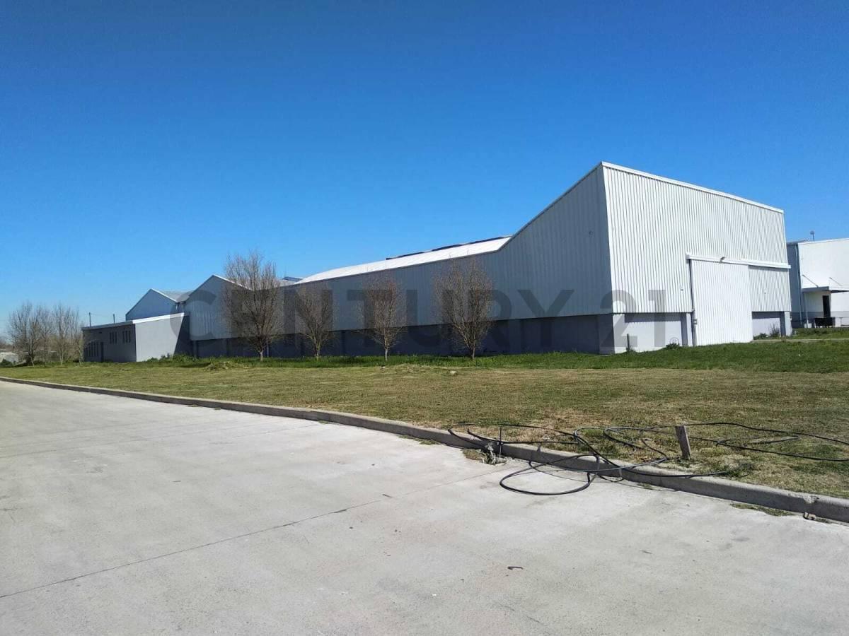 Foto de VENTA GALPON ,EN AREA PROCUCTIVA LA PLATA - AV 520 Y 200, imagen 4