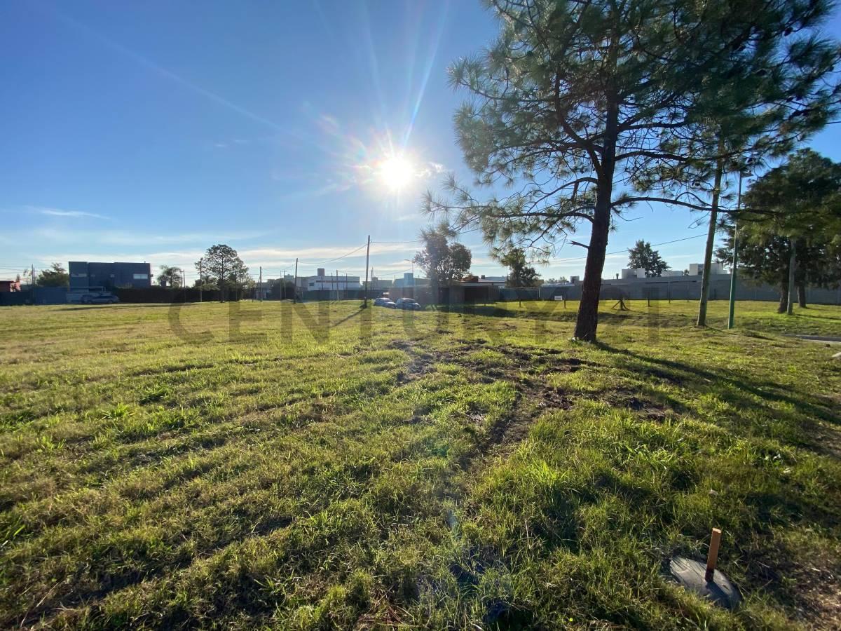 Foto de Terreno en venta Joaquin Gorina - Barrio Los Enriques, imagen 2