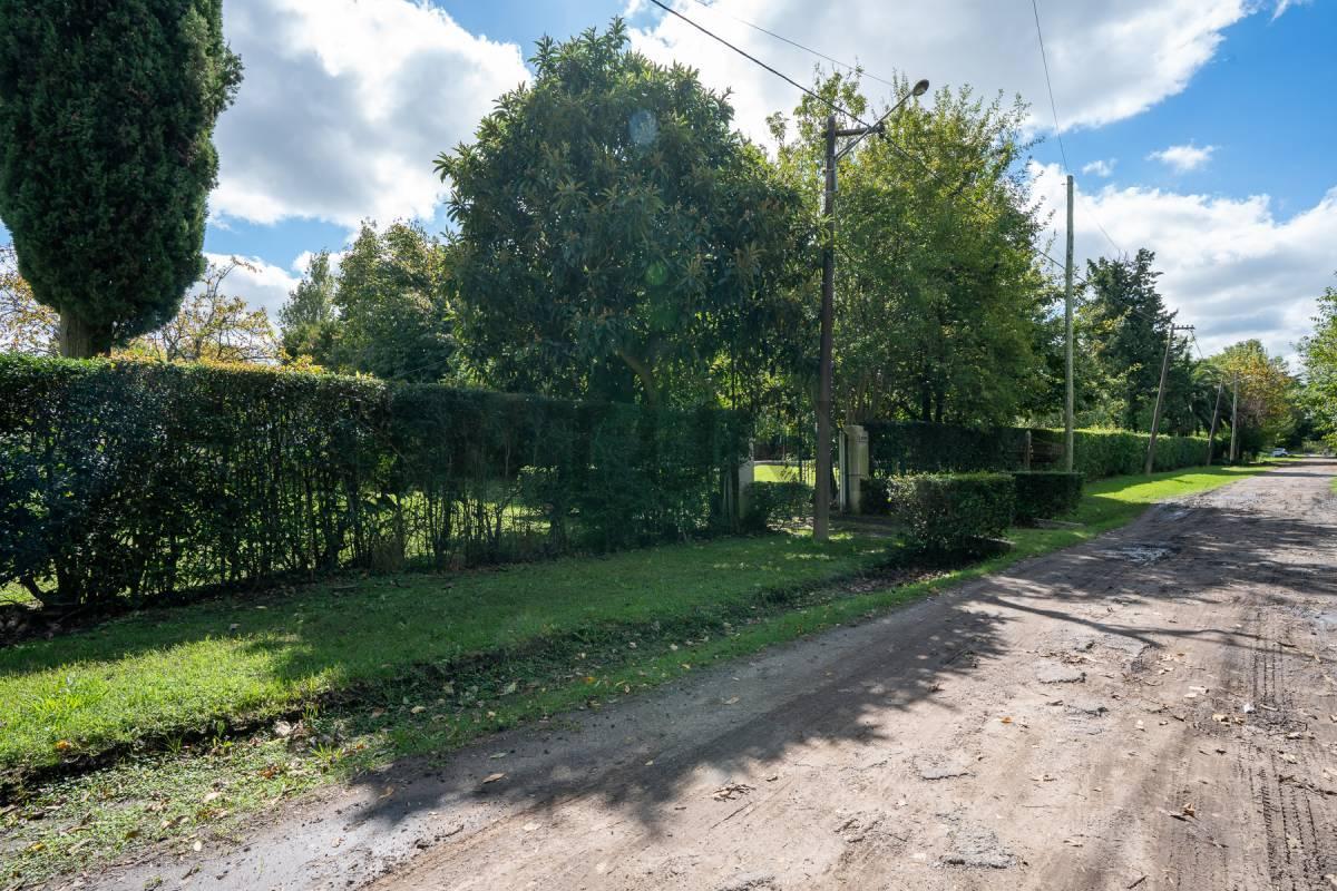 Foto de TERRENO EN VENTA EN VILLA ELISA, imagen 3