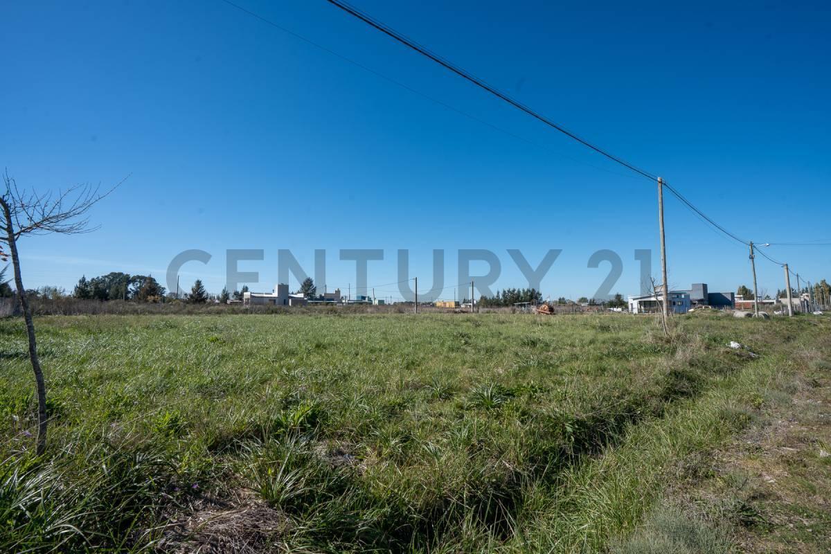 Foto de 639 esq. 142 | Terreno con escritura en venta en ARANA, imagen 4