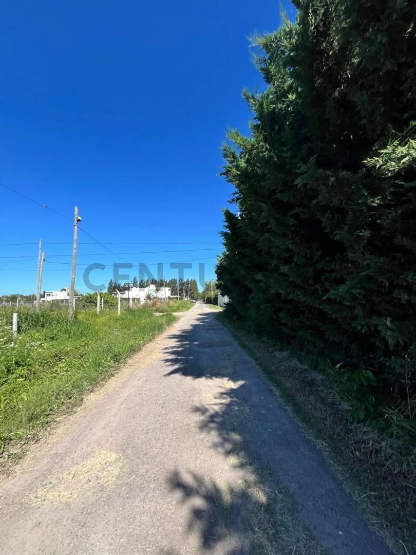 Foto de Venta de Lote en Villa Castells, Manuel B. Gonnet, imagen 4