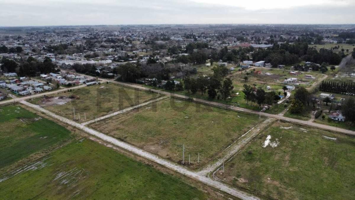 Foto de LOTE EN VENTA EN BRANDSEN (N6), imagen 4