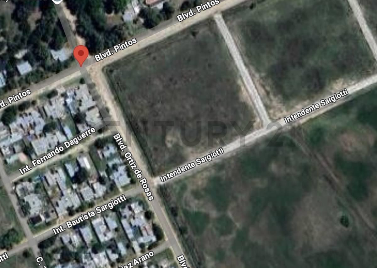 Foto de LOTE EN VENTA EN BRANDSEN (N6), imagen 1