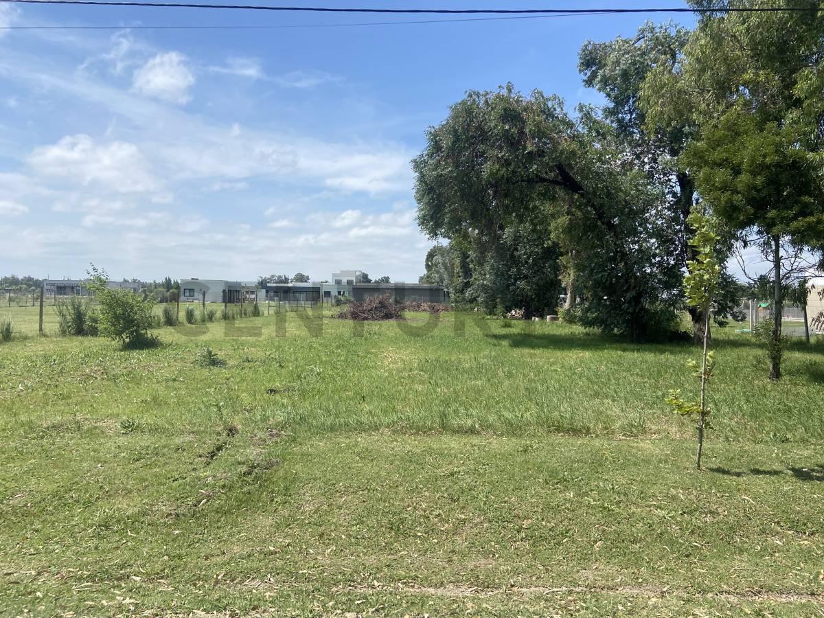 Foto de Lote en venta en La Cañada I, City Bell, imagen 3