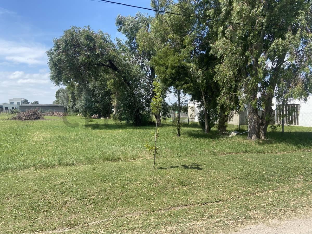Foto de Lote en venta en La Cañada I, City Bell, imagen 4