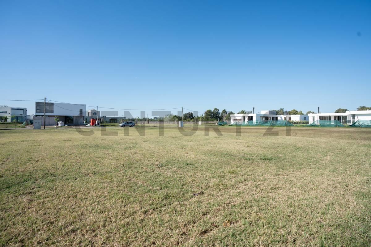 Foto de LOTE EN VENTA EN RIBERA, imagen 3