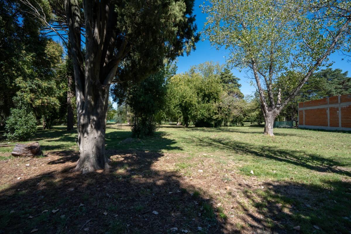 Foto de LOTE EN VENTA EN VILLA ELISA ESCRITURABLE, imagen 3