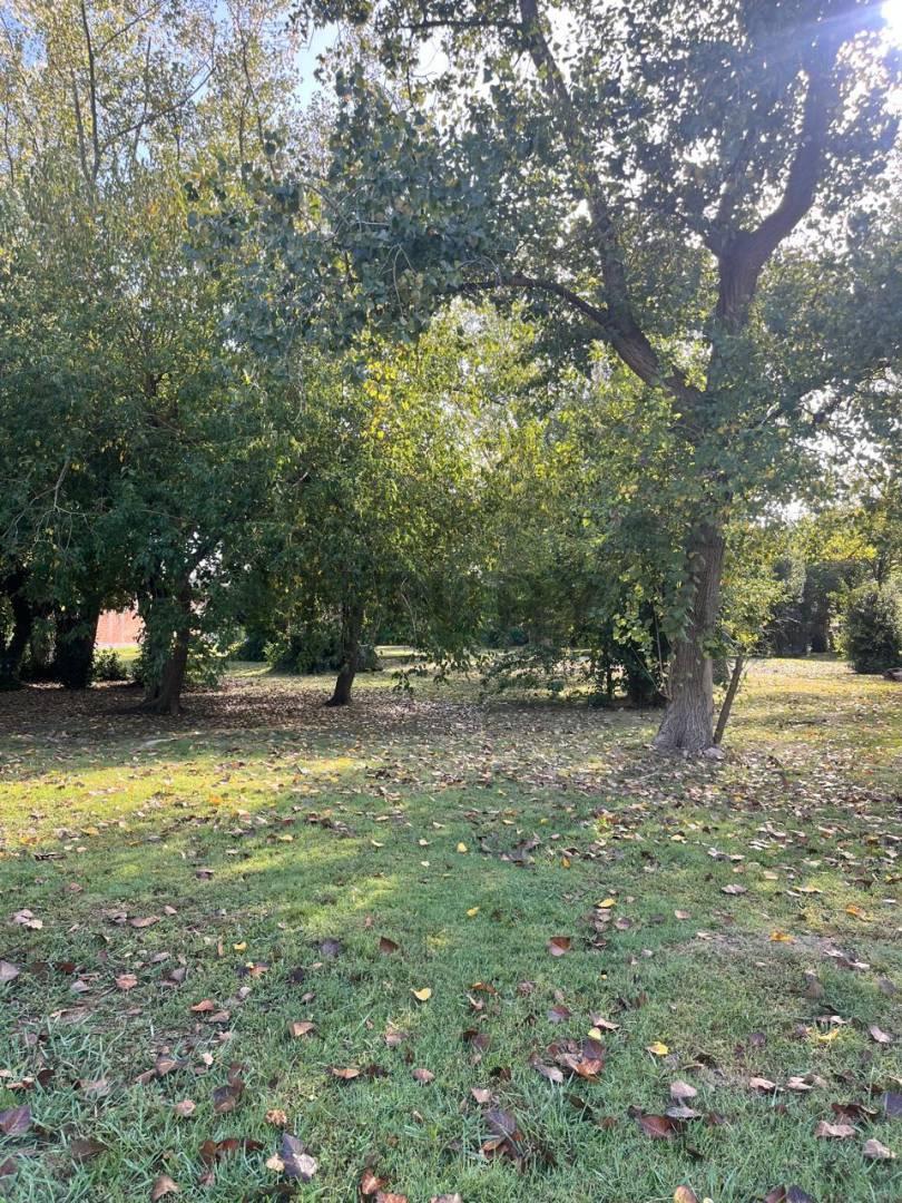 Foto de LOTE EN VENTA EN VILLA ELISA ESCRITURABLE, imagen 5