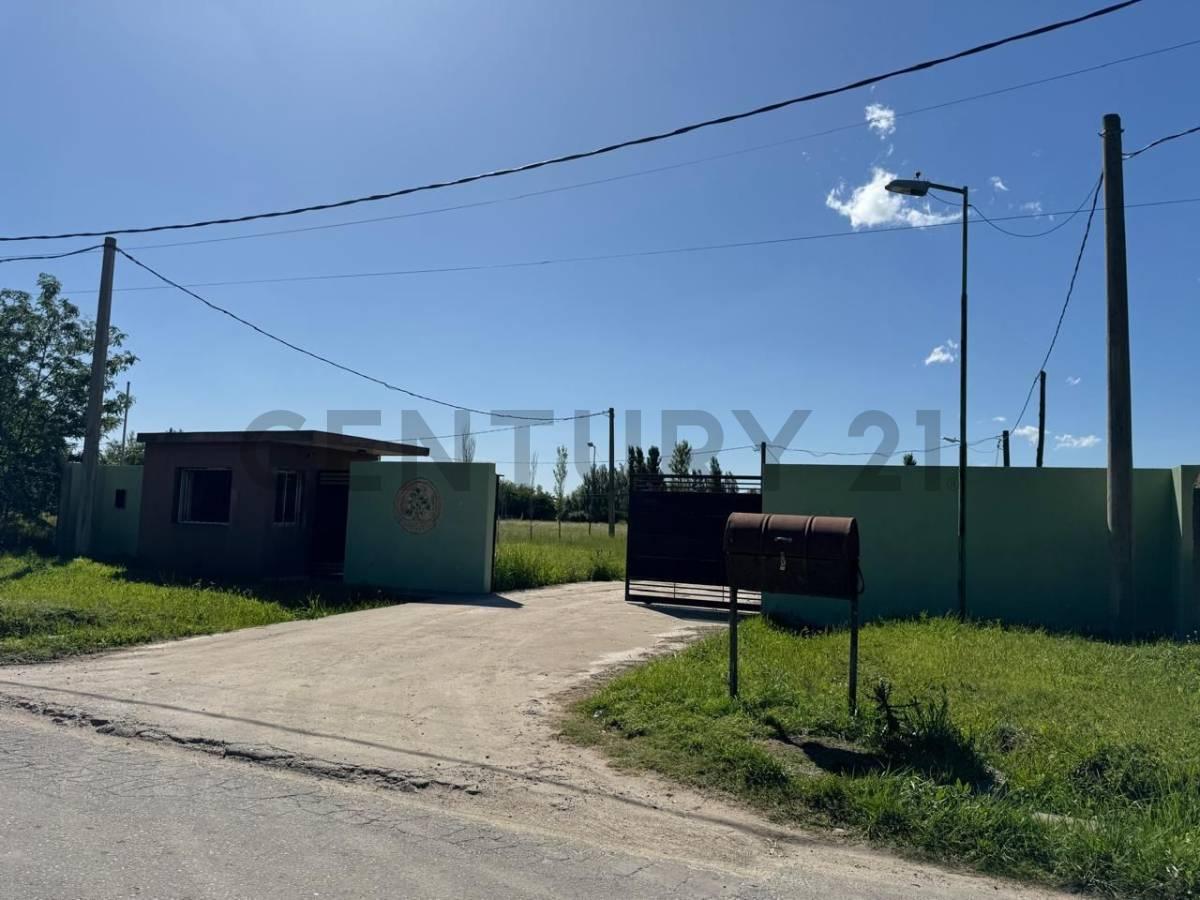 Foto de Lote en venta en Arturo Segui, imagen 4