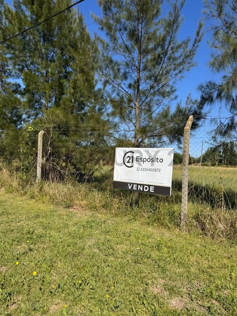 Foto de Lote en venta en Arturo Segui, imagen 1