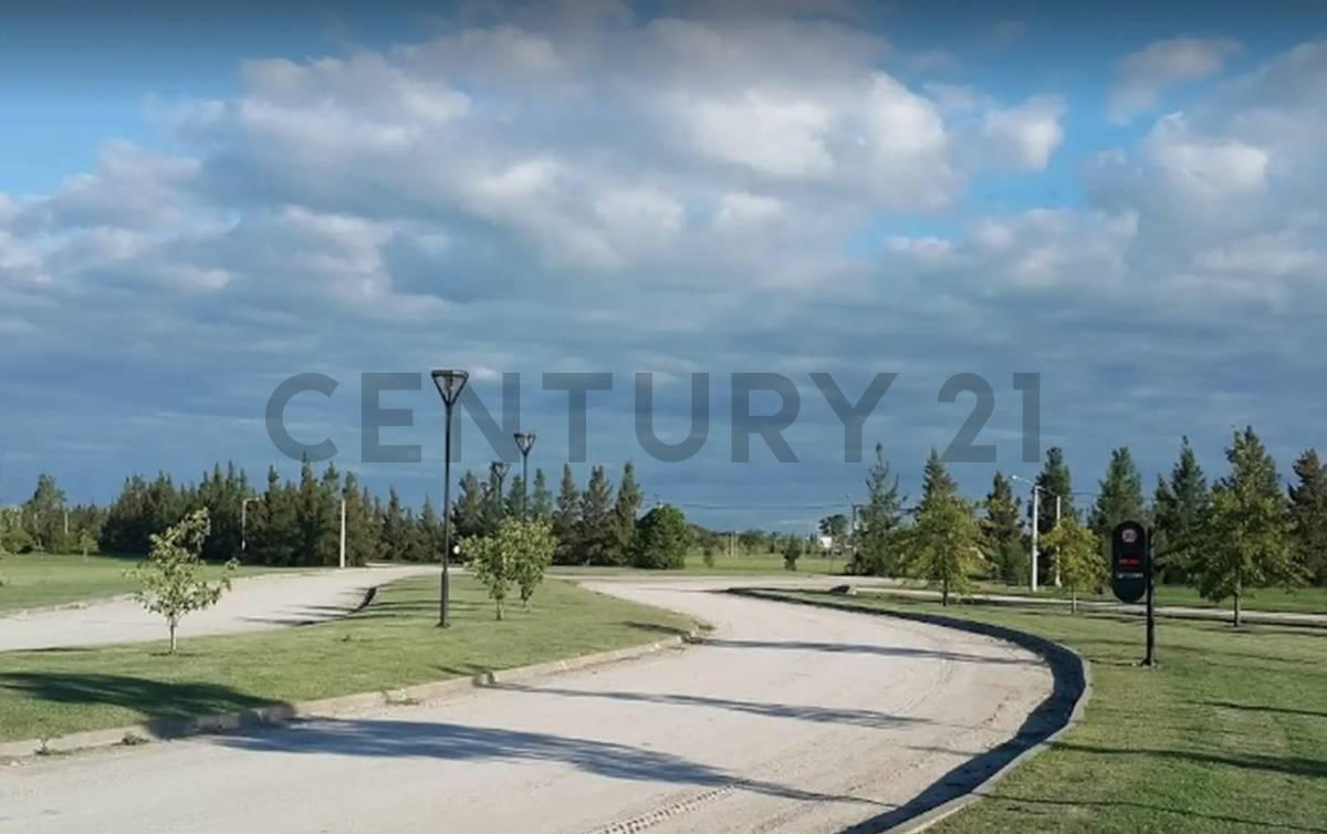 Foto de LOTE EN VENTA EN CAMPOS DE ROCA, imagen 2