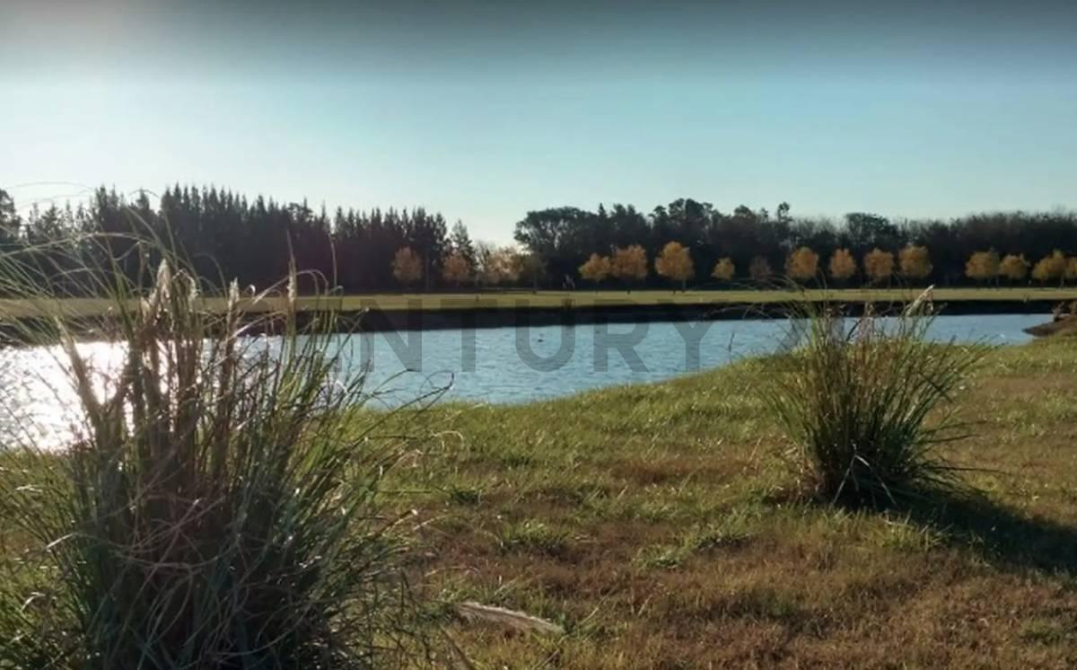 Foto de LOTE EN VENTA EN CAMPOS DE ROCA, imagen 3