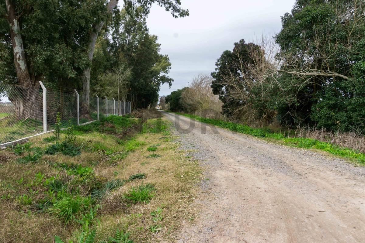 Foto de Lote en venta Fincas de Arana en 96 y 159, imagen 2