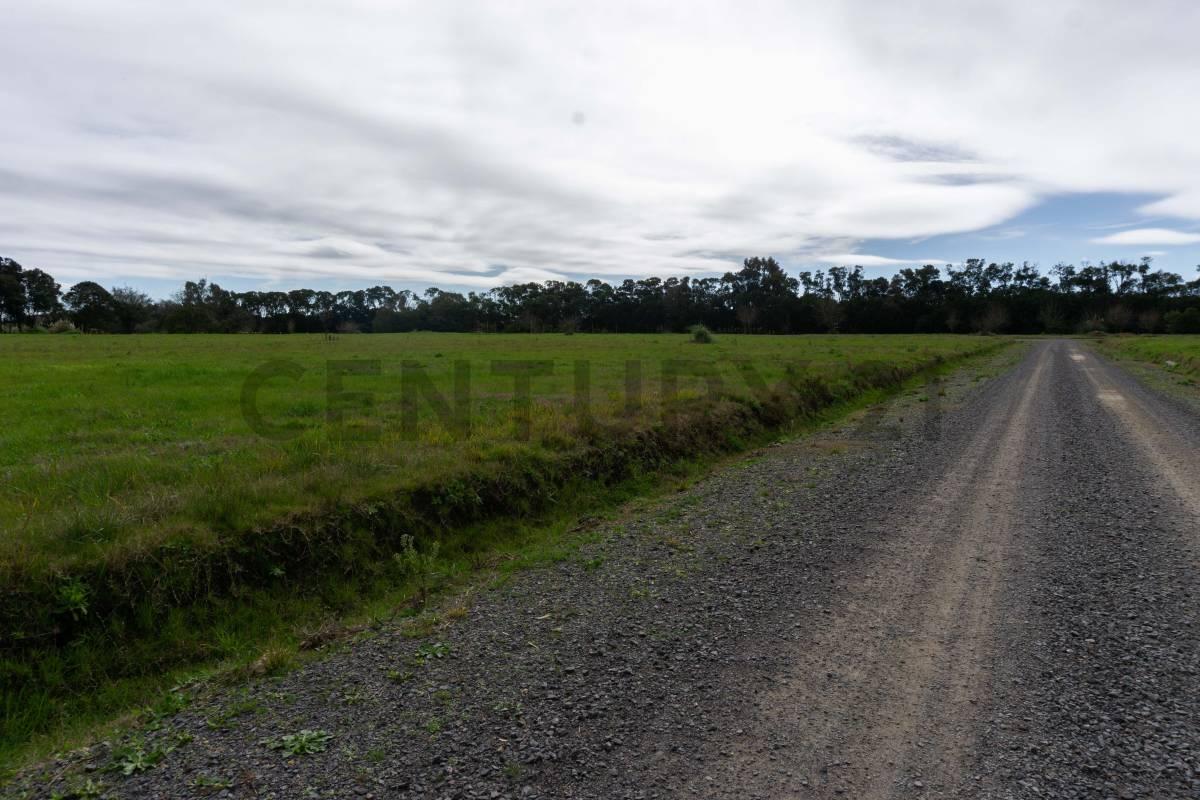 Foto de Lote en venta Fincas de Arana en 96 y 159, imagen 5