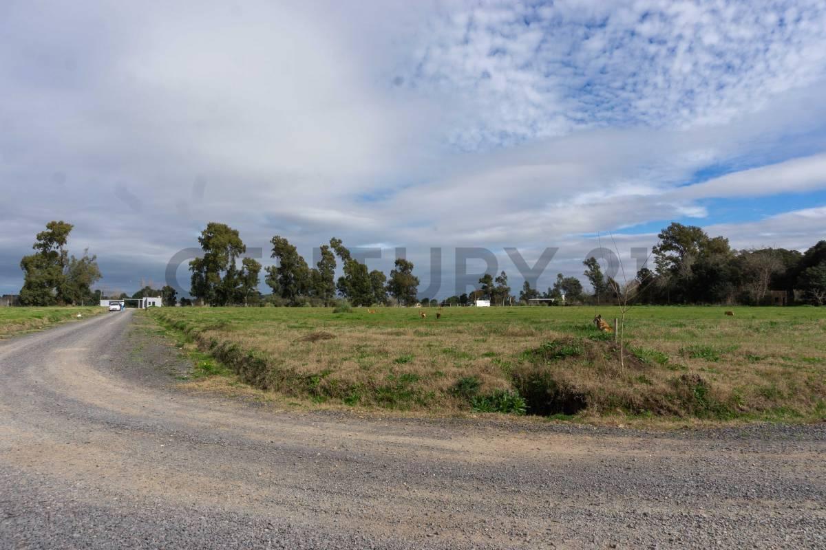 Foto de Lote en venta Fincas de Arana en 96 y 159, imagen 4