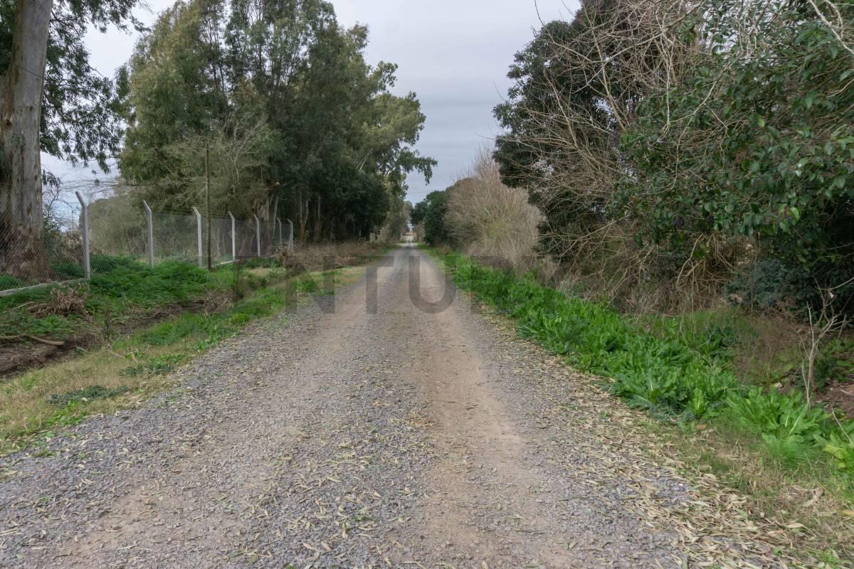 Foto de Lote en venta Fincas de Arana en 96 y 159, imagen 3