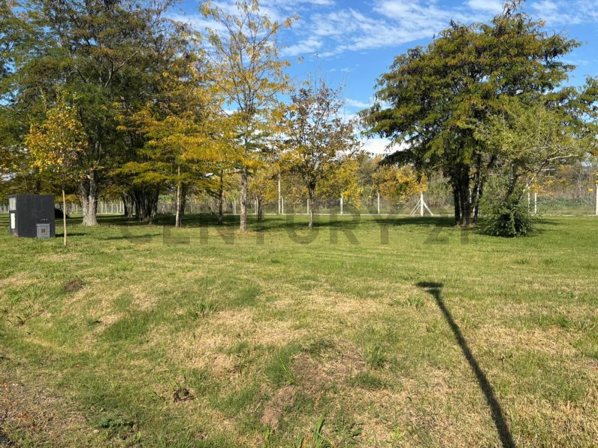Foto de Lote en Barrio Cerrado de City Bell, imagen 2