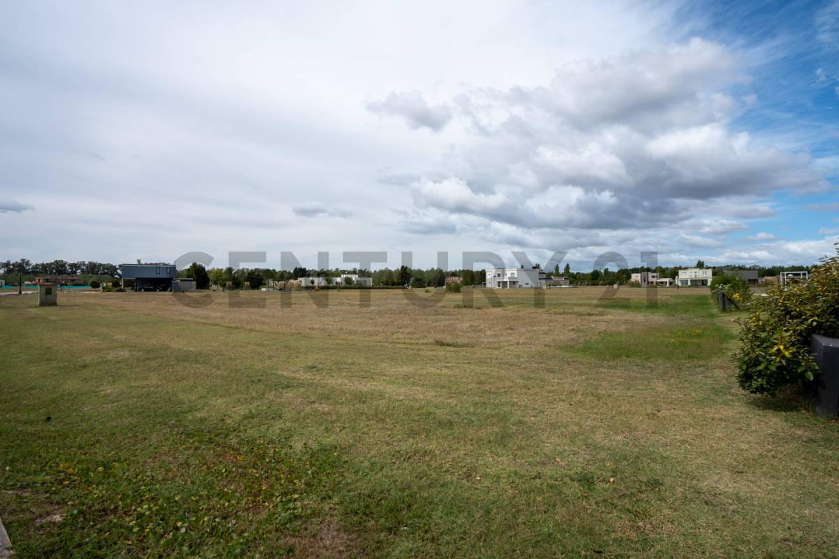 Foto de LOTE EN VENTA EN ÁREA 60, imagen 4