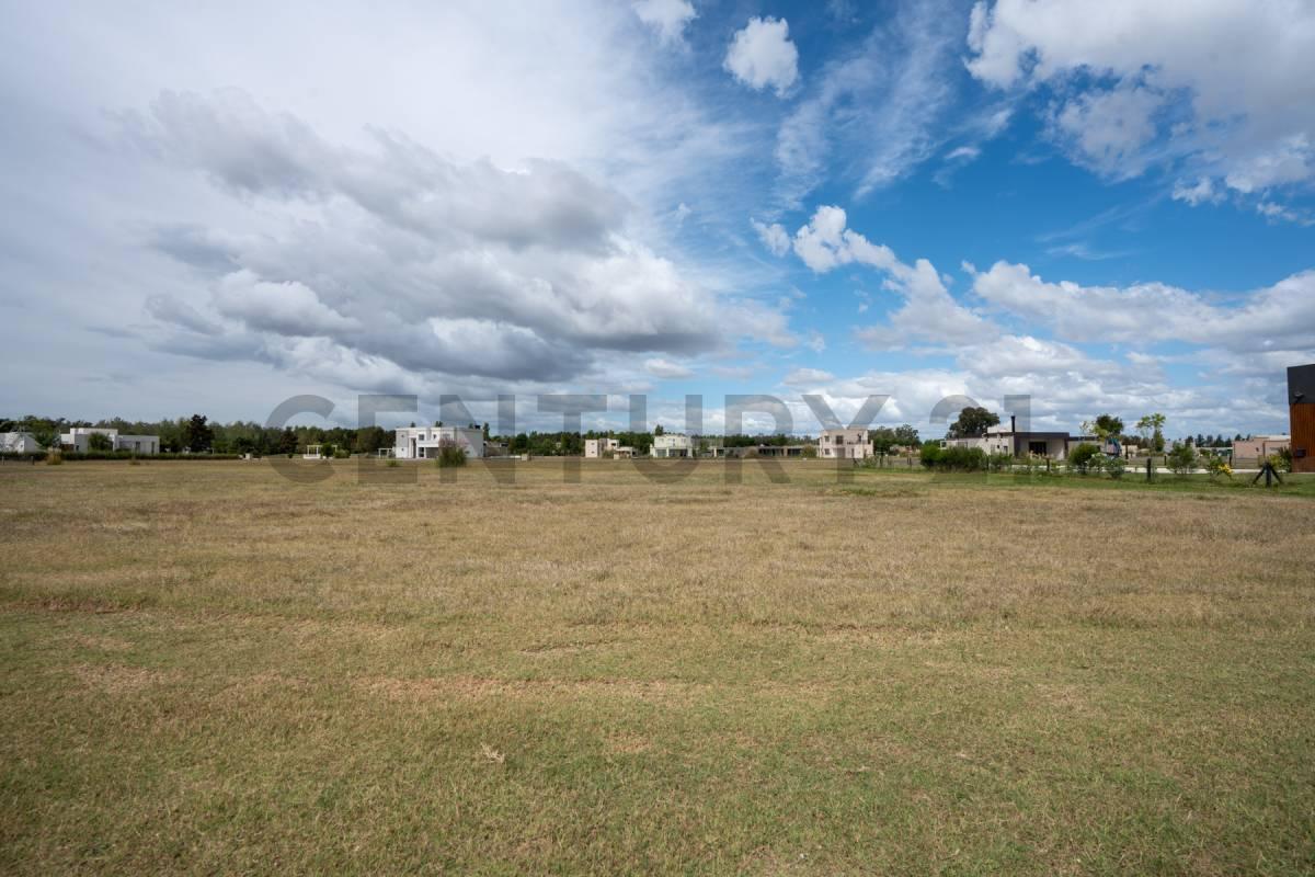 Foto de LOTE EN VENTA EN ÁREA 60, imagen 3